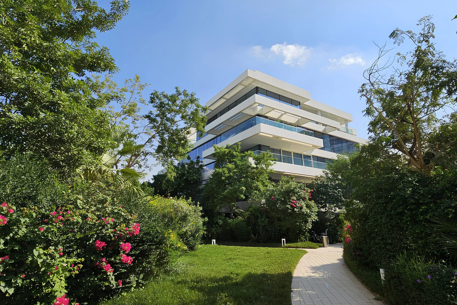 Ashjar